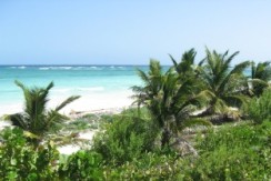 Costa Maya's Sapphire Beach