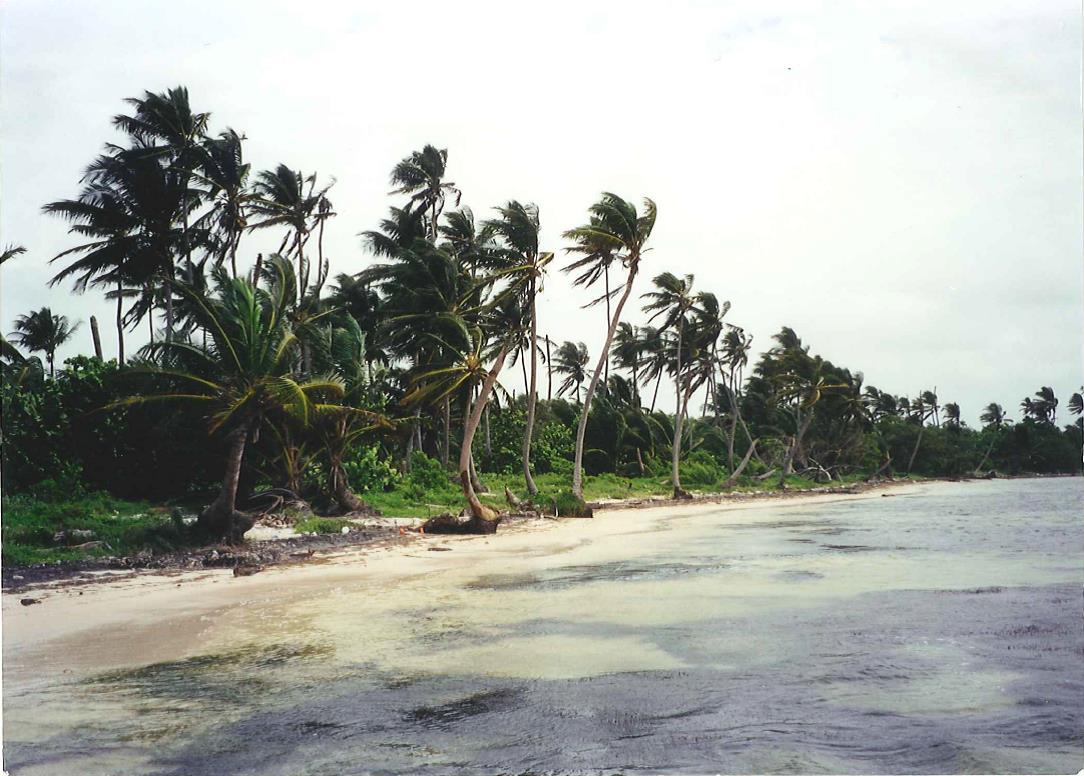 Uvero Costa Maya