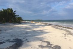 Placer Sands Costa Maya