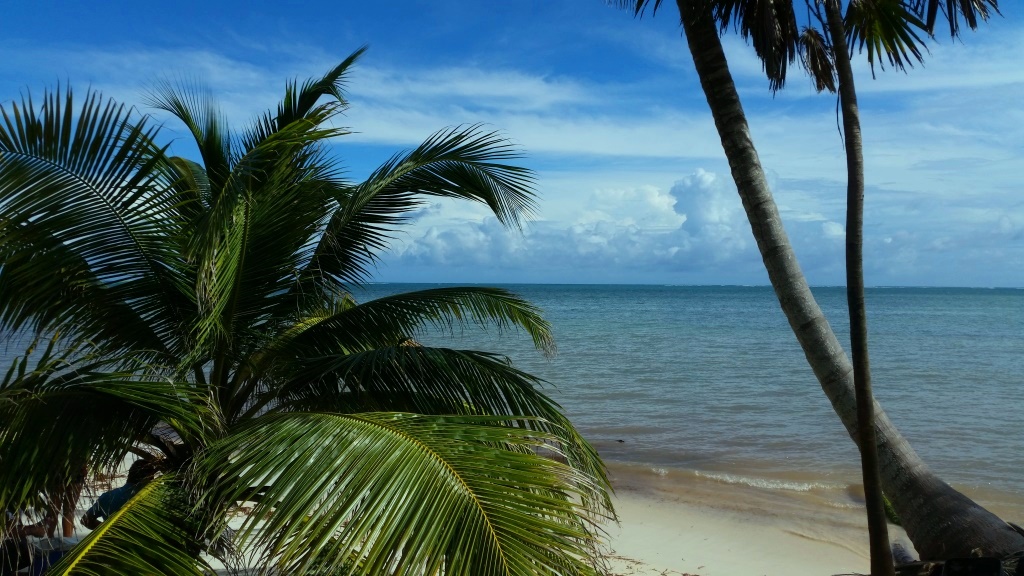 Costa Maya Beachfront Uvero