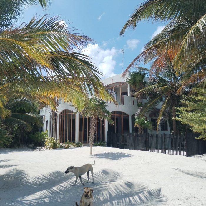 WhatsApp Image 2025-04-03 at 4.18.31 PM (2)