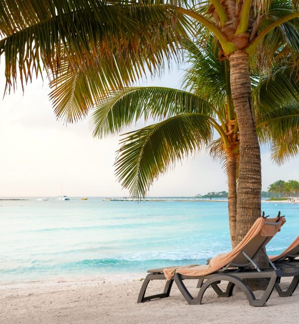 Sun beds under coconut palm trees, Mexico Caribbean coast.